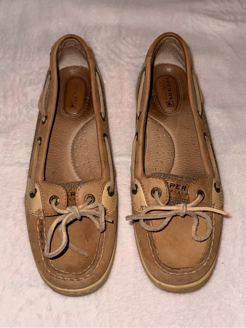Sperry Angelfish